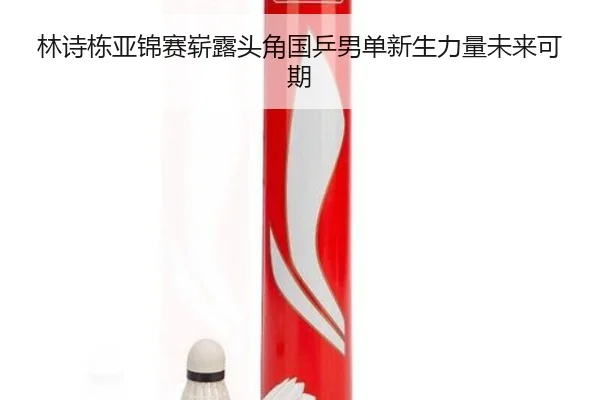 林诗栋亚锦赛崭露头角国乒男单新生力量未来可期 - OETYSPORTS